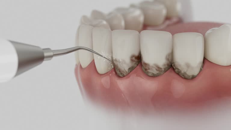 Reliable Dental contractor in East Hazel Crest, IL by Dentist Open Now